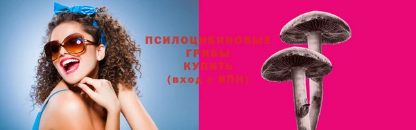 твердый Нягань